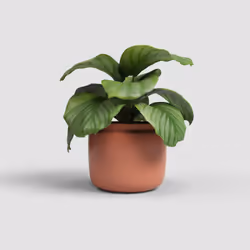 Artevasi Astrea Pot 4 pièce(s)