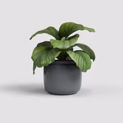Artevasi Astrea Pot Anthracite 4 pièce(s)