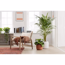 Artevasi Astrea Pot Anthracite 4 pièce(s)