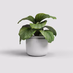 Artevasi Astrea Pot Blanc 4 pièce(s)