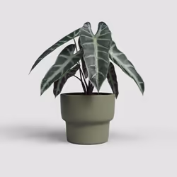 Artevasi Echo High Pot Vert 4 pièce(s)