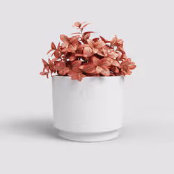 Artevasi Echo Pot Blanc 6 pièce(s)