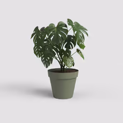 Artevasi Capri Pot