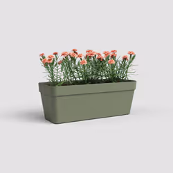 Artevasi Capri Plant Box Water Reserve Vert 6 pièce(s)