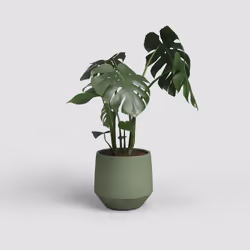 Artevasi Venus Pot Vert 4 pièce(s)