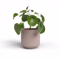 Artevasi Luna Pot Rose 12 pièce(s)