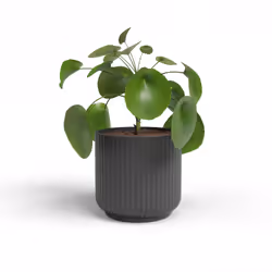 Artevasi Luna Pot Anthracite 6 pièce(s)