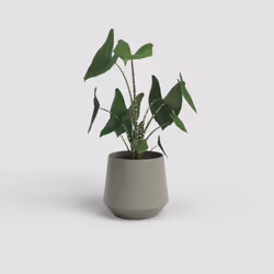 Artevasi Aurora Pot