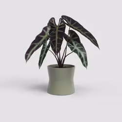 Artevasi Diana Pot Vert