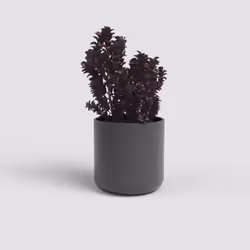 Artevasi Juno Pot Anthracite 9 pièce(s)