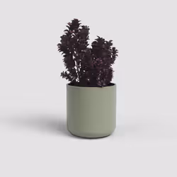 Artevasi Juno Pot Vert 9 pièce(s)