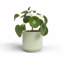 Artevasi Luna Pot Vert 18 pièce(s)