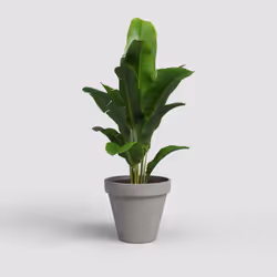 Artevasi Amalia Pot Gris 12 pièce(s)