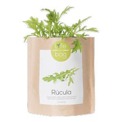 Life in a bag GBAG-RUCOLA semence de légume Roquette 1 pièce(s)