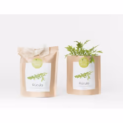 Life in a bag GBAG-RUCOLA semence de légume Roquette 1 pièce(s)