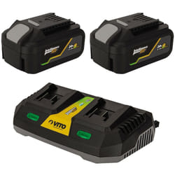 Pack 2 Batteries Lithium 20V 4.0Ah + Chargeur double Gamme sans fil ego li Vito