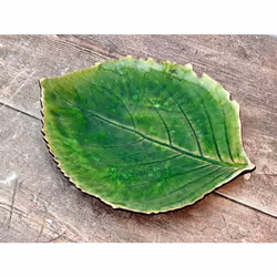 Assiette feuille d'hortensia Costa Nova Riviera (x6)