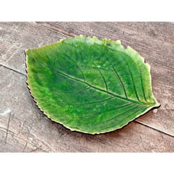 Assiette feuille d'hortensia Costa Nova Riviera (x6)