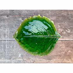 Assiette feuille d'hortensia Costa Nova Riviera (x6)