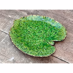 Assiette feuille d'alchémille Costa Nova Alchemille leaf (x6)