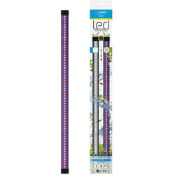 Marshall - Ciano Cln5 Rampe Led Blanche Et Rgb 1,5w + Transfo Pour Nexus Betta Life 5c Et Diamond 14c Ciano