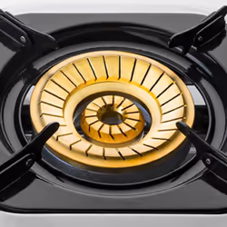 Haeger Safine Four à carburant liquide