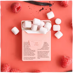 True Gum Chewing-gum à la Framboise & à la Vanille