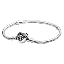 Pandora Bracelet Femme 598827C01-18