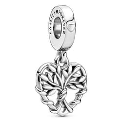Pandora 799149C00 pendentif et breloque Famille et amis Argent sterling