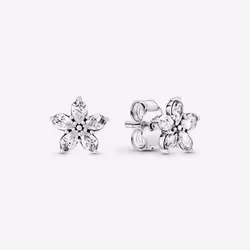 Pandora Boucles d´oreilles Femme 299239C01