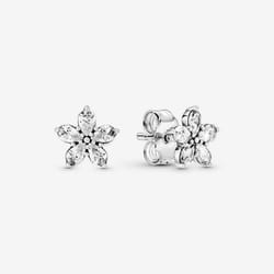 Pandora Boucles d´oreilles Femme 299239C01