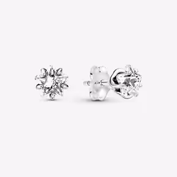 PANDORA Boucles d'oreilles Argenté