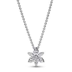 Pandora Collier Femme 392387C01-45