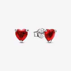 Pandora Boucles d´oreilles Femme 292549C01 Acier inoxydable Argent 925