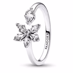 Bague Femme - 192611C01 - Argent Fin 925 - Zirconia Cubique - Nature - Taille 54