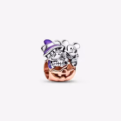 PANDORA Charm Argenté