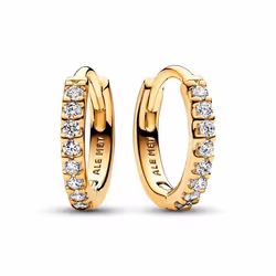 Pandora Boucles d´oreilles Femme 263015C01