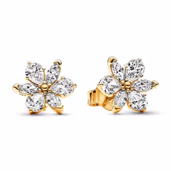 Pandora Boucles d´oreilles Femme 262633C01
