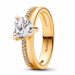 Bague Femme 163100C01-54 54/172