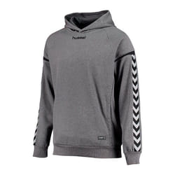 Sweat à capuche poly Hummel hmlAUTHENTIC Charge