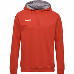 Sweatshirt à capuche Hummel hmlGO cotton