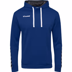 Sweatshirt à capuche Hummel hmlAUTHENTIC Poly