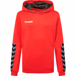 Sweatshirt à capuche enfant Hummel hmlAUTHENTIC Poly