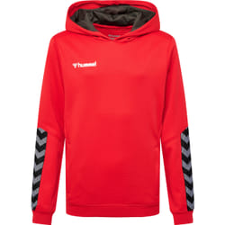 Sweatshirt à capuche enfant Hummel hmlAUTHENTIC Poly