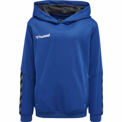 Sweatshirt à capuche enfant Hummel hmlAUTHENTIC Poly
