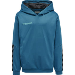 Sweatshirt à capuche enfant Hummel hmlAUTHENTIC Poly