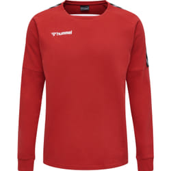 Sweatshirt Hummel hmlAUTHENTIC Training