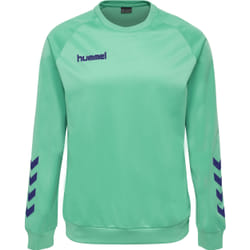 Sweatshirt enfant Hummel hmlPROMO Poly