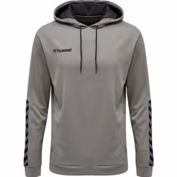 Sweatshirt à capuche Hummel hmlAUTHENTIC Poly
