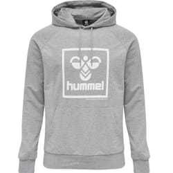 Sweatshirt à capuche Hummel hmlisam